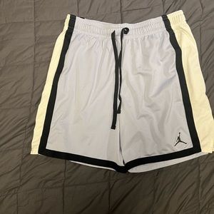 Jordan Brand Light Blue Shorts